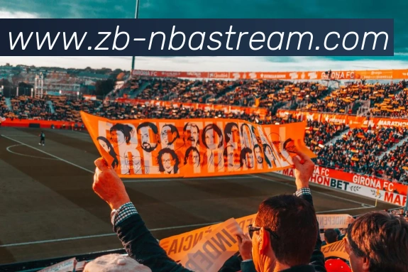 多媒体互动体验